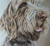 Maggie
