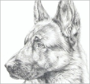 Cash - pencil