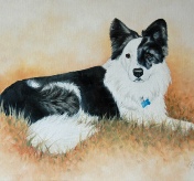 Dylan