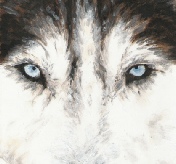 Husky