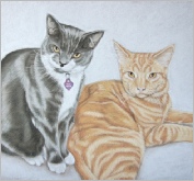 Two cats - pastel