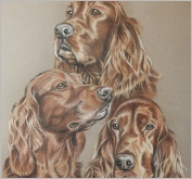Setters