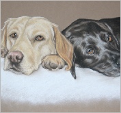 Molly & Bunty
