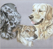 Bailey, Coper & Holly