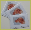 Greetings cards