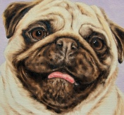 Happy Pug