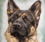 Cash - oil paint