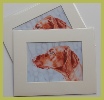 Small mounted prints