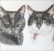 Boris & Bella