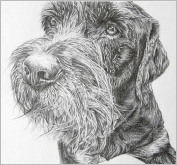 Pencil