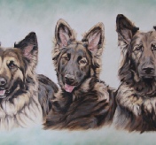 Minna, Maya & Roxy
