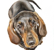 Dexter - oil paint