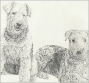 Gyp & Cassie