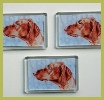 Fridge magnets
