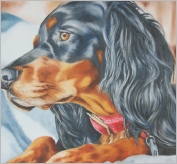 Oil paint