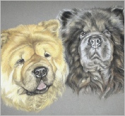 Chows