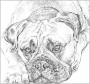 Harvey