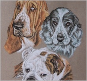 Basset, Spaniel & Bulldog