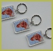 keyrings
