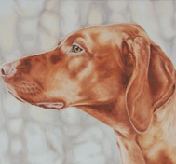 Cricket - oil paint