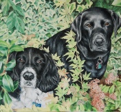 Jazz & Beau